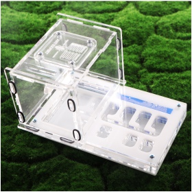 Ant Expert Lost Tunnels - professional acrylic formicarium